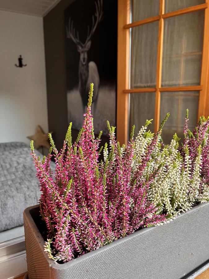 Chalet Apartment Serenity Lodge Charmey Eksteriør billede